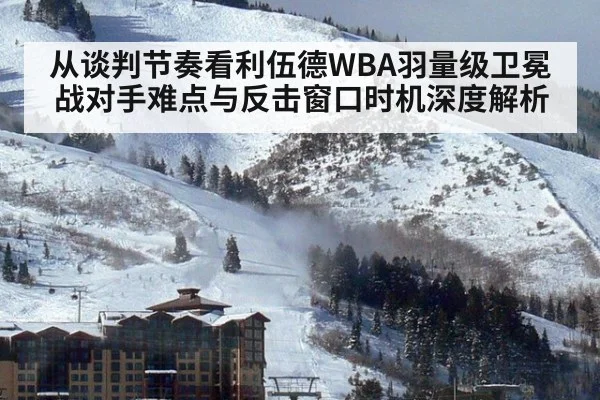 从谈判节奏看利伍德WBA羽量级卫冕战对手难点与反击窗口时机深度解析 - nine game